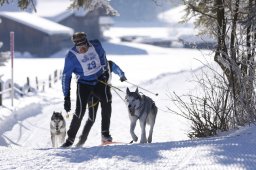 Lenk 2013